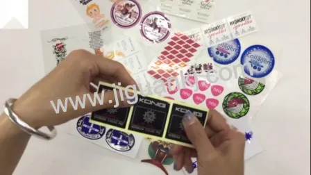 Bunter Druck selbstklebender Kiss-Cut-Aufkleber-Blatt-Planer-Aufkleber